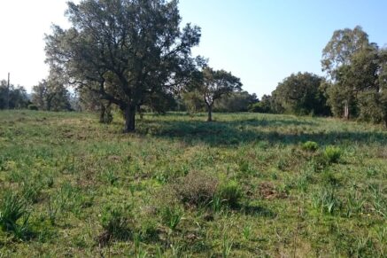 Porto-Vecchio, Palombaggia, Terrain constructible, Permis de construire, Vue montagne, Aperçu mer