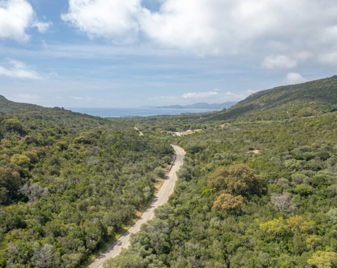 Porto-Vecchio, Palombaggia, Terrain constructible, Permis de construire, Vue montagne, Aperçu mer