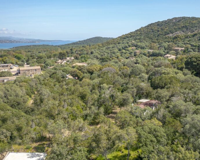 Porto-Vecchio, Palombaggia, Terrain constructible, Permis de construire, Vue montagne, Aperçu mer