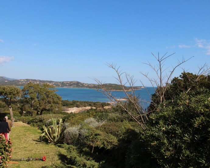 Cala Rossa, Domaine de la Tour, Villa vue mer panoramique, 6 chambres, piscine, plage à pied