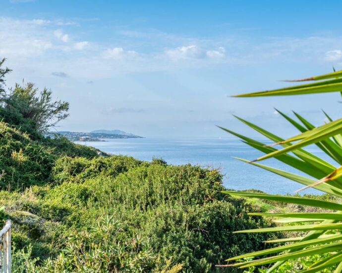 Exclusive Listing, Corbara, Marine de Davia, 2 Villas, 7 Bedrooms, 2 Pools, Panoramic Sea View, Walking Distance to the Beach