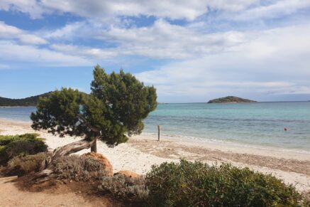 Arasu, land of approximately 17,846 sq.ft , near the beach