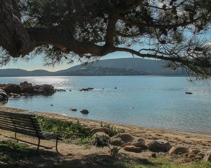 Porto-Vecchio, Domaine de Cala Rossa, appartement 1 chambre, plage à pied