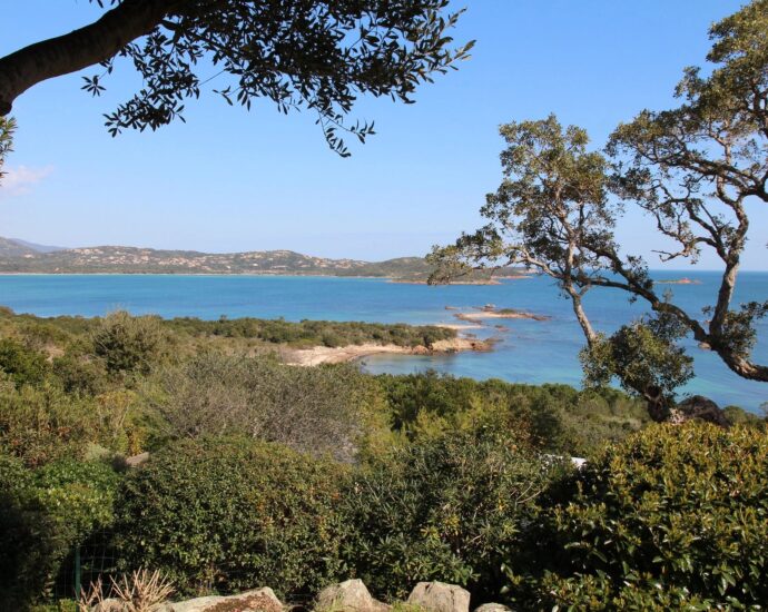 Cala Rossa, Domaine de la Tour, Villa vue mer panoramique, 6 chambres, piscine, plage à pied