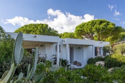 Porto-Vecchio, Villa plain-pied, 4 chambres, proche plage Palombagia, piscine