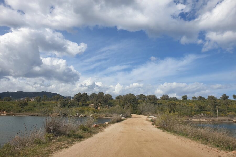 Arasu, land of approximately 17,846 sq.ft , near the beach