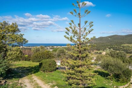 Palasca. Property. 5 Bedrooms. Pool. Panoramic Views of Countryside and Mountains