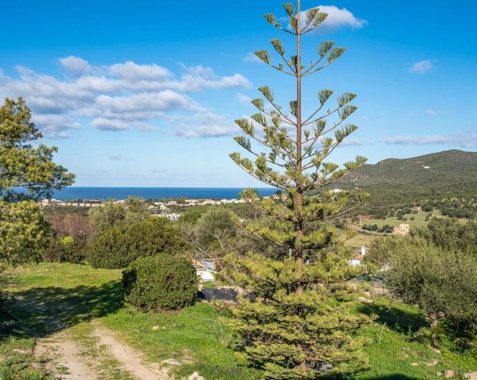 Palasca. Property. 5 Bedrooms. Pool. Panoramic Views of Countryside and Mountains