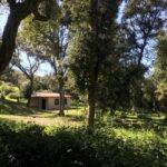 Porto-Vecchio, Contemporary villa, 4 bedrooms, swimming pool, near the beach of Santa Giulia