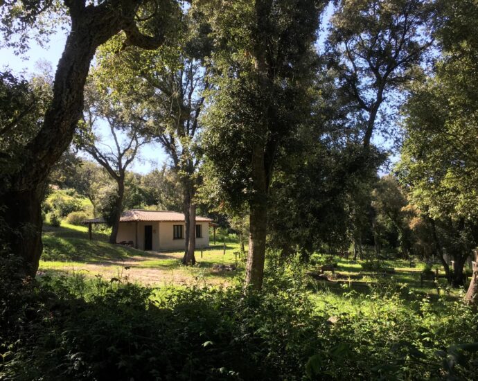 Porto-Vecchio, Contemporary villa, 4 bedrooms, swimming pool, near the beach of Santa Giulia