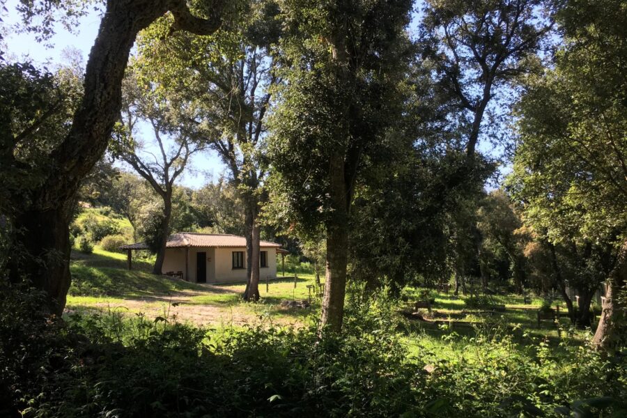 Porto-Vecchio, Contemporary villa, 4 bedrooms, swimming pool, near the beach of Santa Giulia