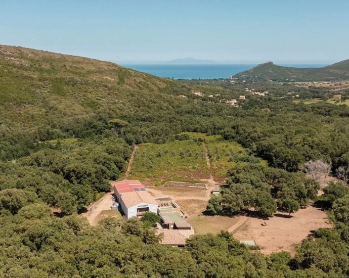 Cap Corse, Pietracorbara, Domaine privé, 6 logements, piscine et espaces extérieurs, projet résidentiel ou touristique, proche plage