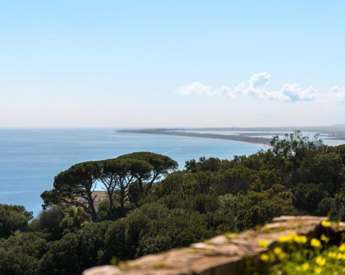 Bastia, Maison de maître, vue mer panoramique, 4 chambres, piscine, proche plages et centre-ville