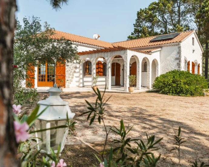 Nord d’Ajaccio, San Andréa D&rsquo;Orcini, Villa 4 chambres, piscine à débordement, vue mer panoramique, plage à pied