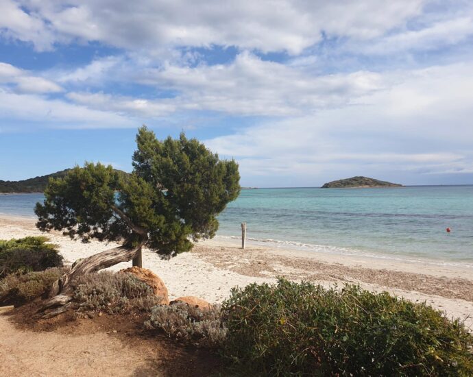 Arasu, land of approximately 17,846 sq.ft , near the beach
