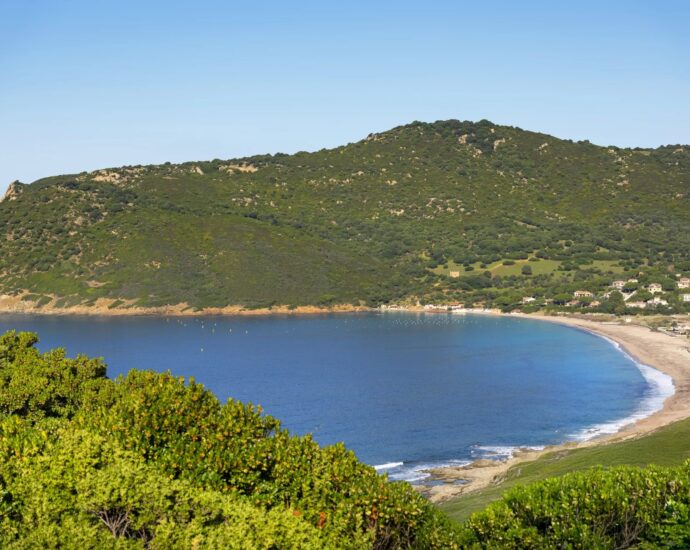 Exclusivité, Costi di Villanova, Villa contemporaine vue mer panoramique, 6 chambres, 2 appartements indépendants, piscine, proche plages et Ajaccio