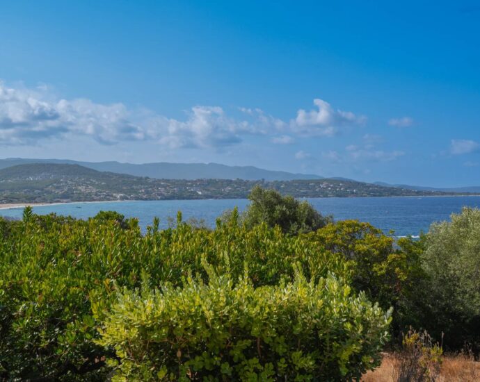 Rive Sud Ajaccio, Porticcio, Villa type Bastide, 6 chambres, vue mer panoramique, plage à pied