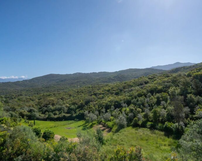 Porticcio, Rive Sud d&rsquo;Ajaccio, Villa,  7 pièces,  4 Chambres