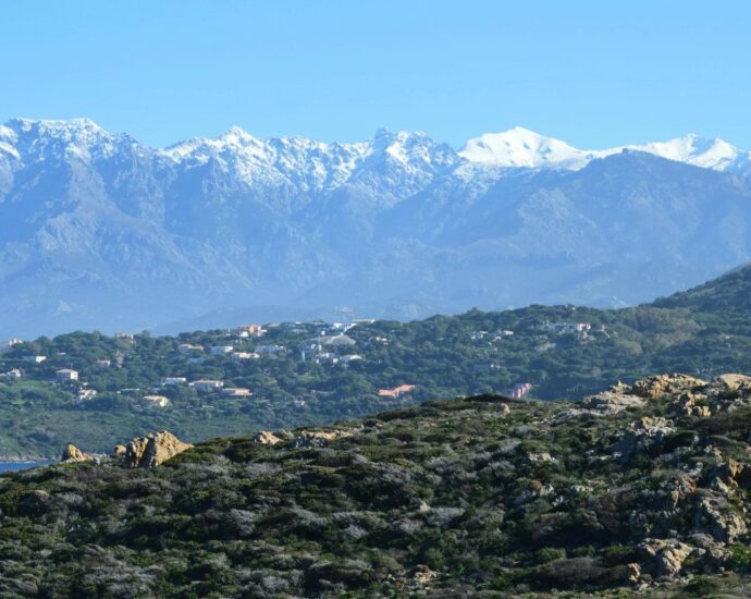 Off Market, Corse-du-Sud, Camping 4 étoiles, Piscine, Plage à pied, vue mer