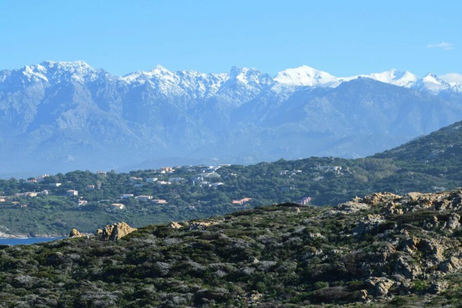 Off Market, Corse-du-Sud, Camping 4 étoiles, Piscine, Plage à pied, vue mer