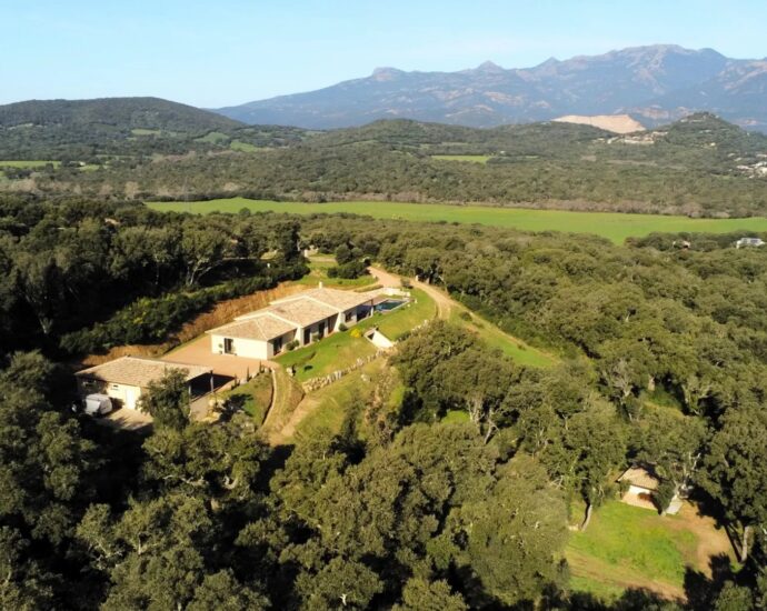 Porto Vecchio, Villa contemporaine, 4 chambres, piscine, proche plage de Santa Giulia