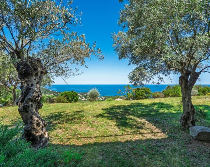Corbara, Villa 4 bedrooms, swimming pool, panoramic sea views, close to the beach