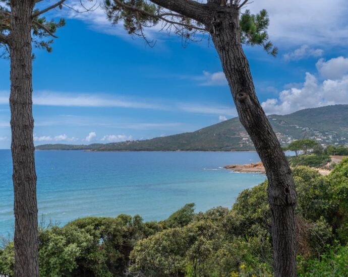 Sagone, villa vue mer panoramique, 3 chambres, studio et chalet indépendants, piscine, plage à pied, proche Ajaccio