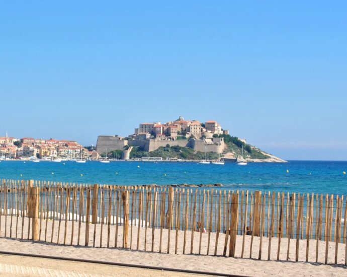 Calvi, Appartement vue mer, 2 chambres, terrasse, piscine, domaine privé, proche plage