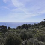 Exclusive listing, Palombaggia, building plot, sea view, walking distance to the beach.
