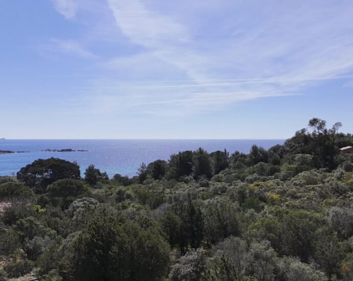 Exclusivité, Palombaggia, terrain à bâtir,  vue mer, plage à pied
