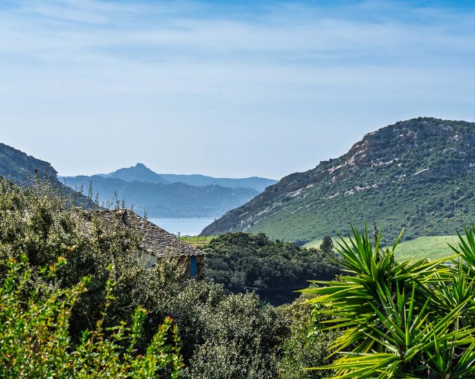 Patrimonio, Villa 3 chambres, piscine chauffée, vue dégagée, proche plages