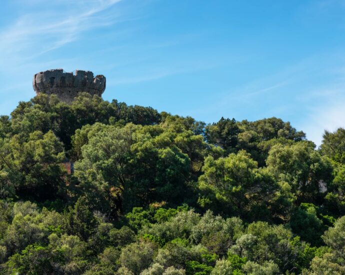 Coti-Chiavari – Property located on the Castagna Peninsula with a 6-bedroom villa and panoramic sea views