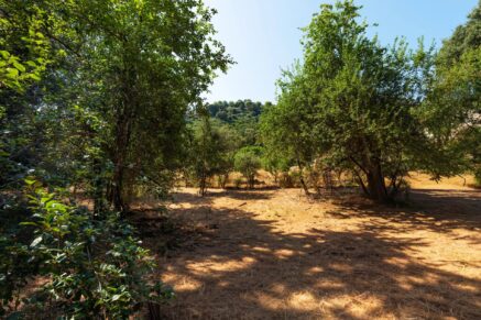 Grand Bastia, Borgo, terrain constructible , vue mer, proche plages et commerces