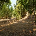 Grand Bastia, Borgo, terrain constructible , vue mer, proche plages et commerces