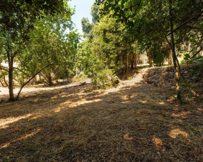 Grand Bastia, Borgo, terrain constructible , vue mer, proche plages et commerces