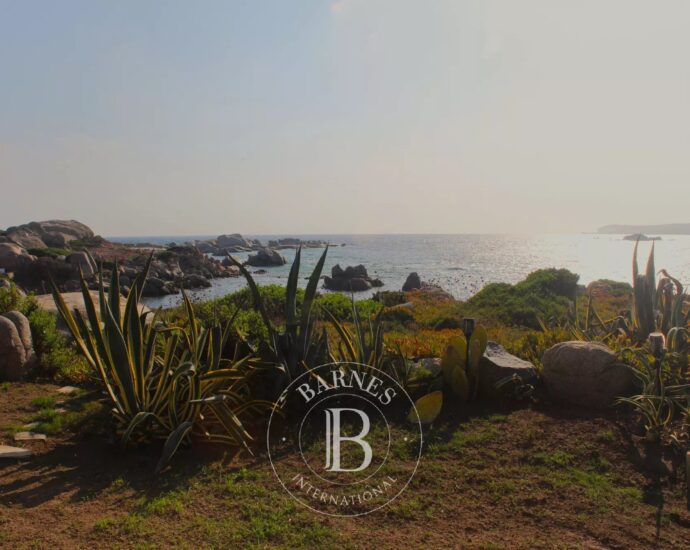 Ile de Cavallo – Appartement en rez-de-jardin – 4 pièces – Vue mer