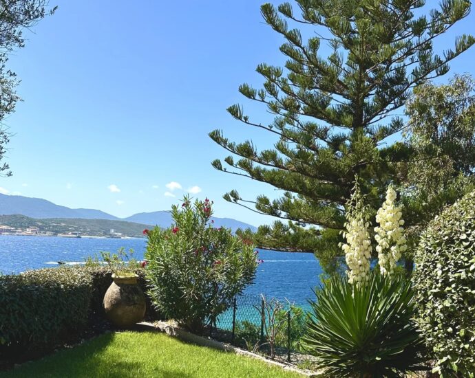 Propriano, Olmeto, villa pied dans l&rsquo;eau, 6 chambres, vue mer et montagnes, piscine, plage à pied