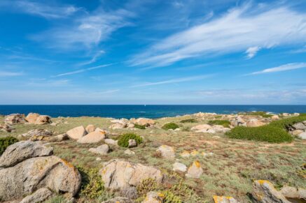 Corbara, Marine de Davia, Panoramic Sea View Villa, 5 Bedrooms, Pool, Private Estate, Beach Within Walking Distance