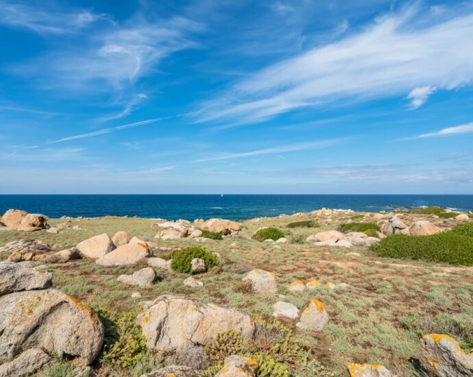 Corbara, Marine de Davia, Panoramic Sea View Villa, 5 Bedrooms, Pool, Private Estate, Beach Within Walking Distance